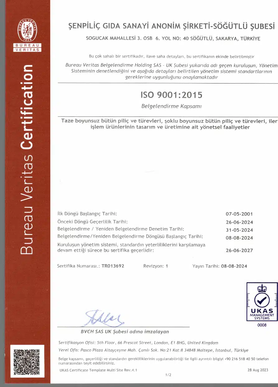 TS EN ISO 9001:2015